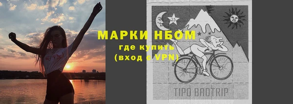 Альфа ПВП Белокуриха