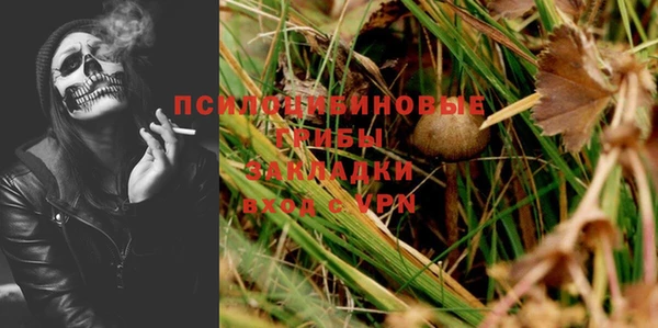 Альфа ПВП Белокуриха