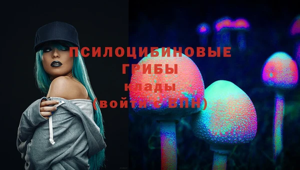 Альфа ПВП Белокуриха